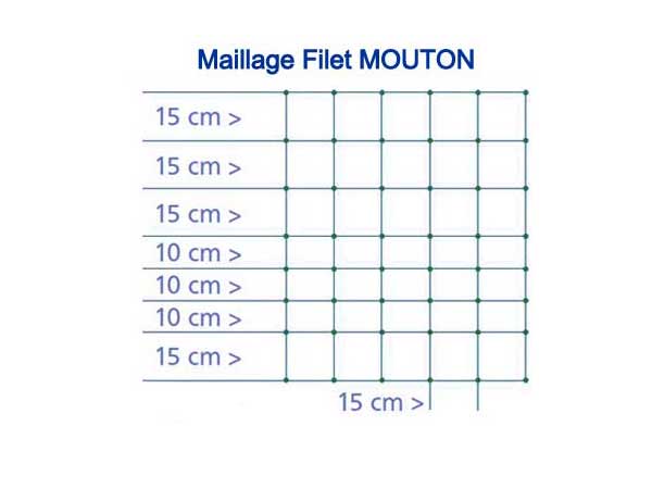 Filet mouton_2